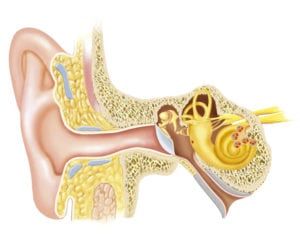 ear tube